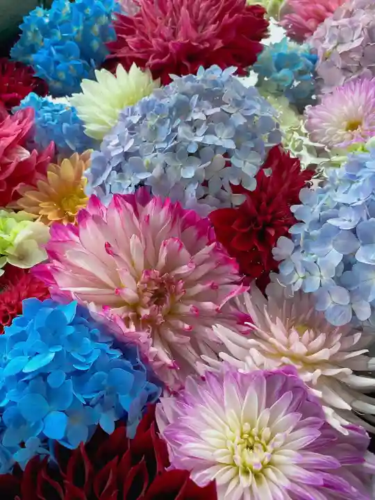 岡寺(龍蓋寺)(奈良県)