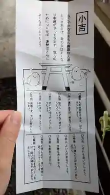 札幌護國神社のおみくじ