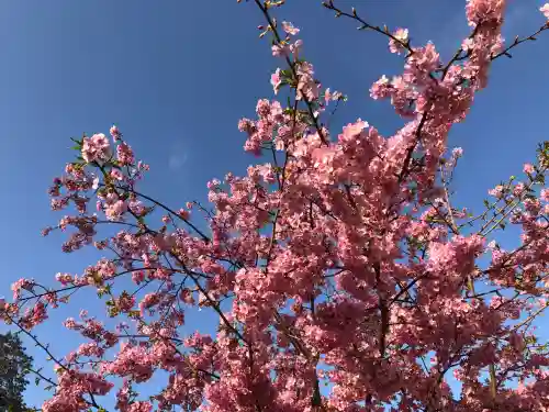 菅原神社の{uncategorized: "未分類", other: "その他", undefined: "問題あり", building: "その他建物", grave: "お墓", sacred_gate: "鳥居", guardian: "狛犬", statue: "像", buddha: "仏像", history: "歴史", nature: "自然", garden: "庭園", animal: "動物", pagoda: "塔", temizu: "手水舎", mountain_gate: "山門・神門", sanctuary: "本殿・本堂", subordinate: "末社・摂社", art: "芸術", scenery: "景色", jizo: "地蔵", ema: "絵馬", goshuin: "御朱印", omikuji: "おみくじ", items: "授与品その他", amulet: "お守り", goshuincho: "御朱印帳", eats: "食事", festival: "お祭り", votive_dance: "神楽", shichigosan: "七五三参", wedding: "結婚式", experience: "体験その他", initially: "初詣", around: "周辺", anti_infection: "感染症対策"}