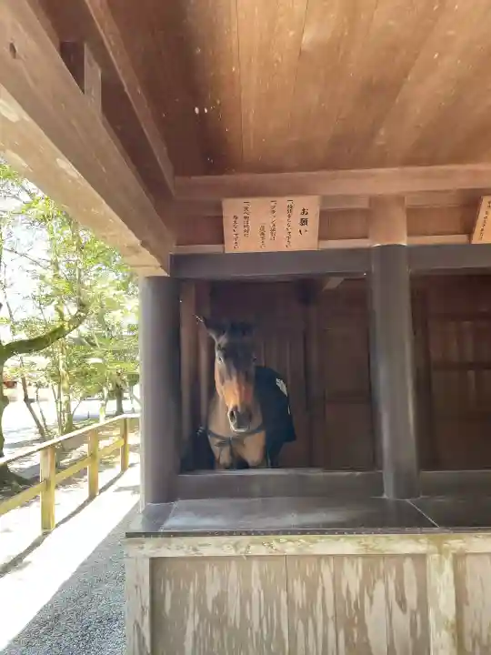 伊勢神宮内宮(皇大神宮)の{uncategorized: "未分類", other: "その他", undefined: "問題あり", building: "その他建物", grave: "お墓", sacred_gate: "鳥居", guardian: "狛犬", statue: "像", buddha: "仏像", history: "歴史", nature: "自然", garden: "庭園", animal: "動物", pagoda: "塔", temizu: "手水舎", mountain_gate: "山門・神門", sanctuary: "本殿・本堂", subordinate: "末社・摂社", art: "芸術", scenery: "景色", jizo: "地蔵", ema: "絵馬", goshuin: "御朱印", omikuji: "おみくじ", items: "授与品その他", amulet: "お守り", goshuincho: "御朱印帳", eats: "食事", festival: "お祭り", votive_dance: "神楽", shichigosan: "七五三参", wedding: "結婚式", experience: "体験その他", initially: "初詣", around: "周辺", anti_infection: "感染症対策"}