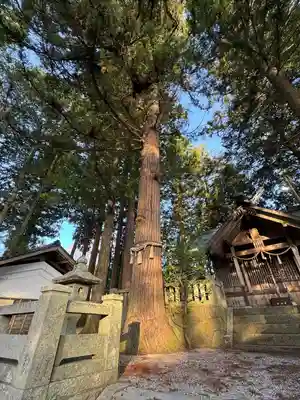芝宮神社(長野県)