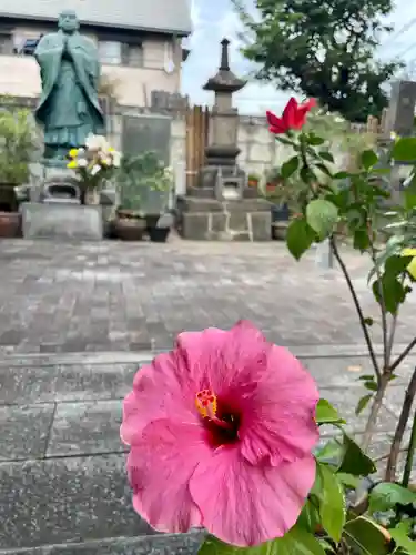 佛心寺(東京都)
