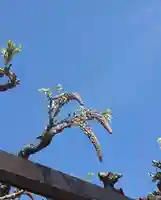 西方山極楽寺(岐阜県)