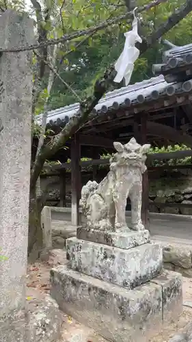 吉備津神社の狛犬