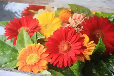 豊景神社の手水舎