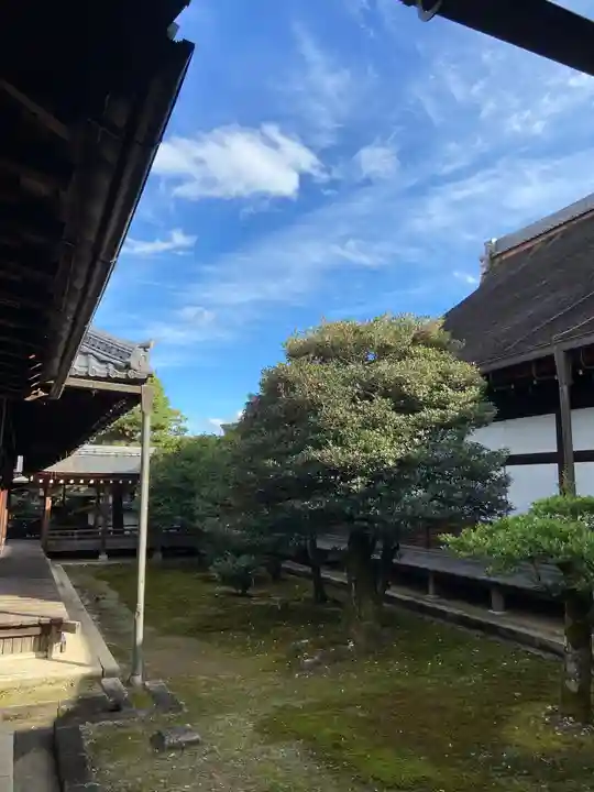 妙心寺(妙心禅寺)(京都府)