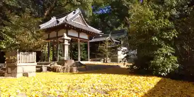 若宮八幡宮(京都府)