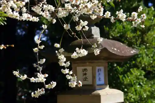 豊景神社のその他建物