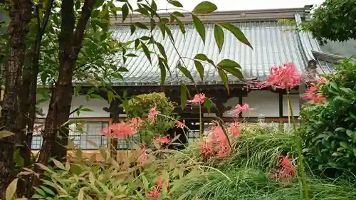 明鏡山龍雲寺の庭園