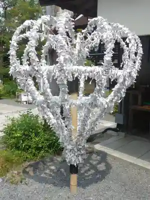 松尾大社のおみくじ