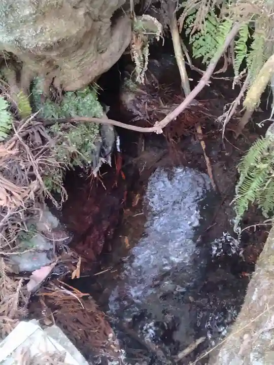 出雲神社(宮城県)