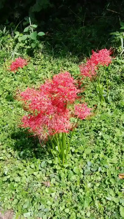 浄発願寺の自然