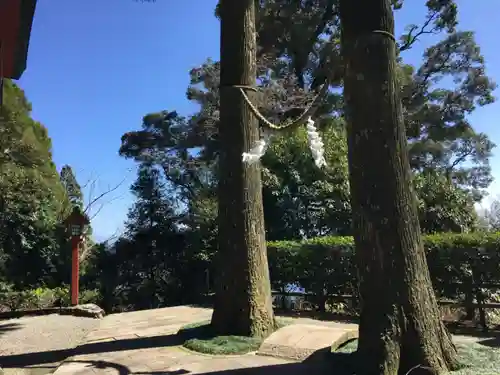 霧島東神社の庭園