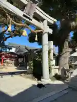高砂神社の{uncategorized: "未分類", other: "その他", undefined: "問題あり", building: "その他建物", grave: "お墓", sacred_gate: "鳥居", guardian: "狛犬", statue: "像", buddha: "仏像", history: "歴史", nature: "自然", garden: "庭園", animal: "動物", pagoda: "塔", temizu: "手水舎", mountain_gate: "山門・神門", sanctuary: "本殿・本堂", subordinate: "末社・摂社", art: "芸術", scenery: "景色", jizo: "地蔵", ema: "絵馬", goshuin: "御朱印", omikuji: "おみくじ", items: "授与品その他", amulet: "お守り", goshuincho: "御朱印帳", eats: "食事", festival: "お祭り", votive_dance: "神楽", shichigosan: "七五三参", wedding: "結婚式", experience: "体験その他", initially: "初詣", around: "周辺", anti_infection: "感染症対策"}