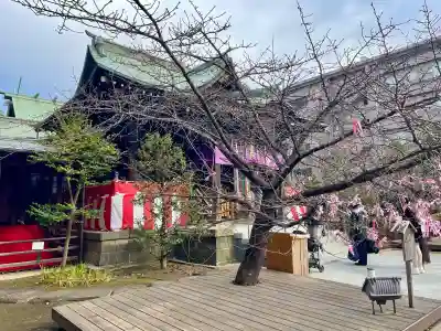 桜神宮(東京都)