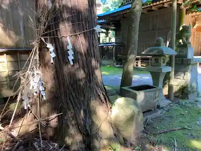 鴨大神御子神主玉神社の自然