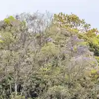 伊勢の国 四天王寺(三重県)