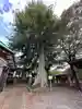 白山神社(東京都)