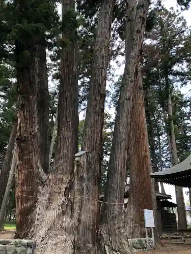 天神中條天満宮(山梨県)