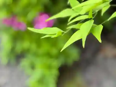 西方山極楽寺(岐阜県)