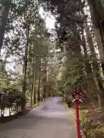箱根神社の{uncategorized: "未分類", other: "その他", undefined: "問題あり", building: "その他建物", grave: "お墓", sacred_gate: "鳥居", guardian: "狛犬", statue: "像", buddha: "仏像", history: "歴史", nature: "自然", garden: "庭園", animal: "動物", pagoda: "塔", temizu: "手水舎", mountain_gate: "山門・神門", sanctuary: "本殿・本堂", subordinate: "末社・摂社", art: "芸術", scenery: "景色", jizo: "地蔵", ema: "絵馬", goshuin: "御朱印", omikuji: "おみくじ", items: "授与品その他", amulet: "お守り", goshuincho: "御朱印帳", eats: "食事", festival: "お祭り", votive_dance: "神楽", shichigosan: "七五三参", wedding: "結婚式", experience: "体験その他", initially: "初詣", around: "周辺", anti_infection: "感染症対策"}
