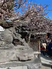 湯島天満宮(東京都)