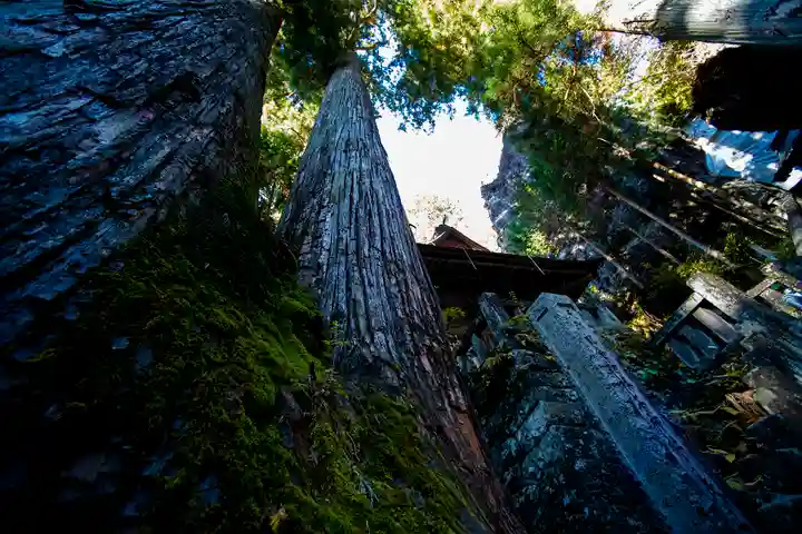 榛名神社の自然