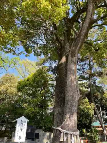 玉村八幡宮の庭園