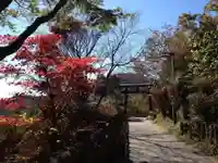 武蔵御嶽神社の自然