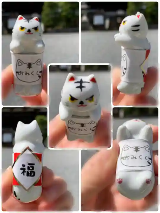 松尾大社のおみくじ