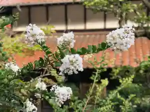 木舟山 順教寺の自然(2022年09月05日(月) 13時49分23秒投稿)
