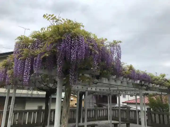 白鷺神社の庭園