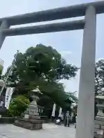 桜神宮(東京都)