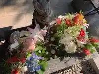 滑川神社 - 仕事と子どもの守り神の手水舎