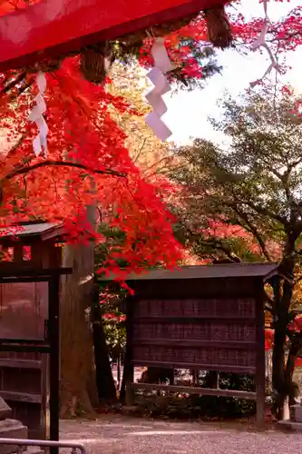 大原野神社(京都府)