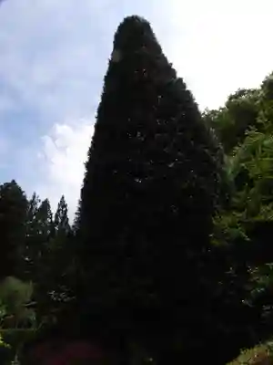 安楽寺(長野県)