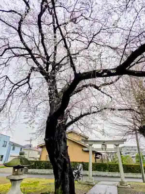 八幡大神社(東京都)