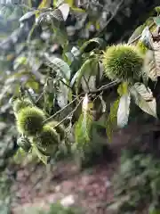 木舟山　順教寺の自然