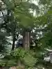 霧島神宮(鹿児島県)