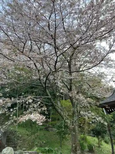 荘嚴寺(神奈川県)