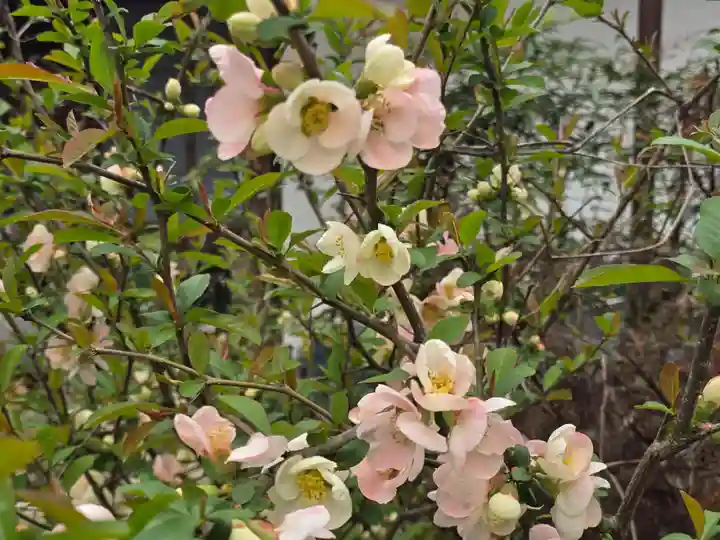 円解院(和歌山県)