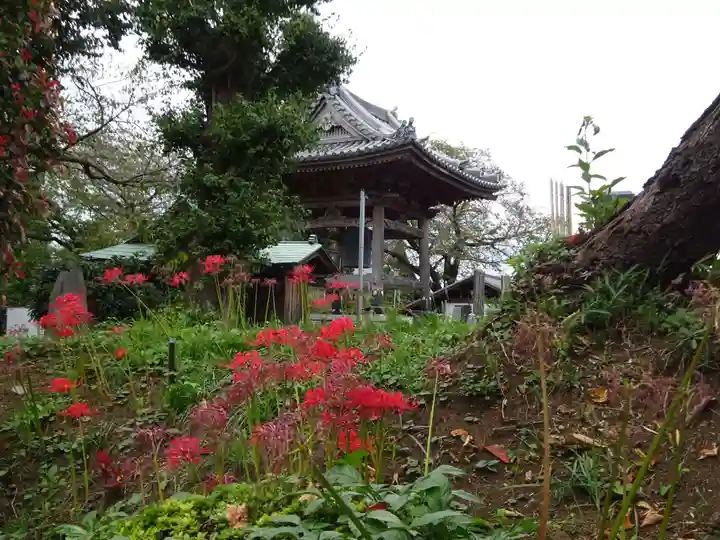 妙純寺のその他建物