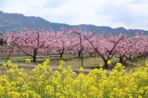 八坂神社(和歌山県)