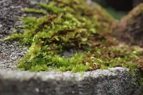 三峯神社の自然