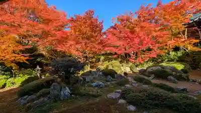 源光庵(京都府)