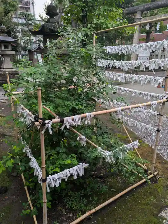 仲町氷川神社(東京都)