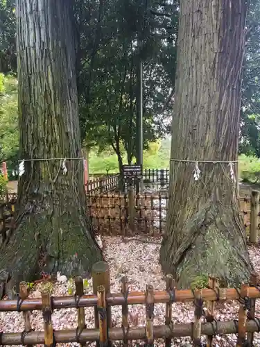 大田原神社の自然