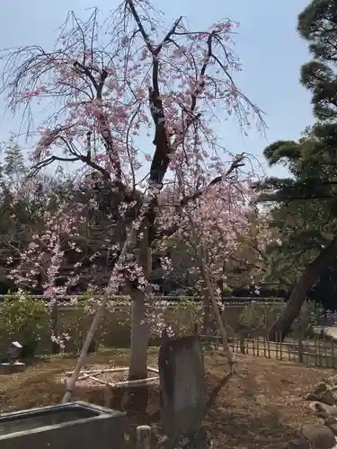 東漸寺(千葉県)