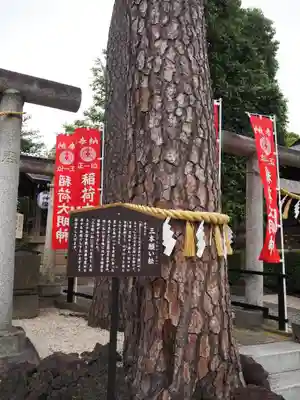中野沼袋氷川神社のその他建物
