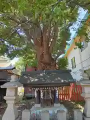 阿部野神社(大阪府)